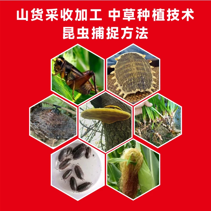 (共2套)农村代收点必备工具 行情价及采收加工 种植技术 饵料配方