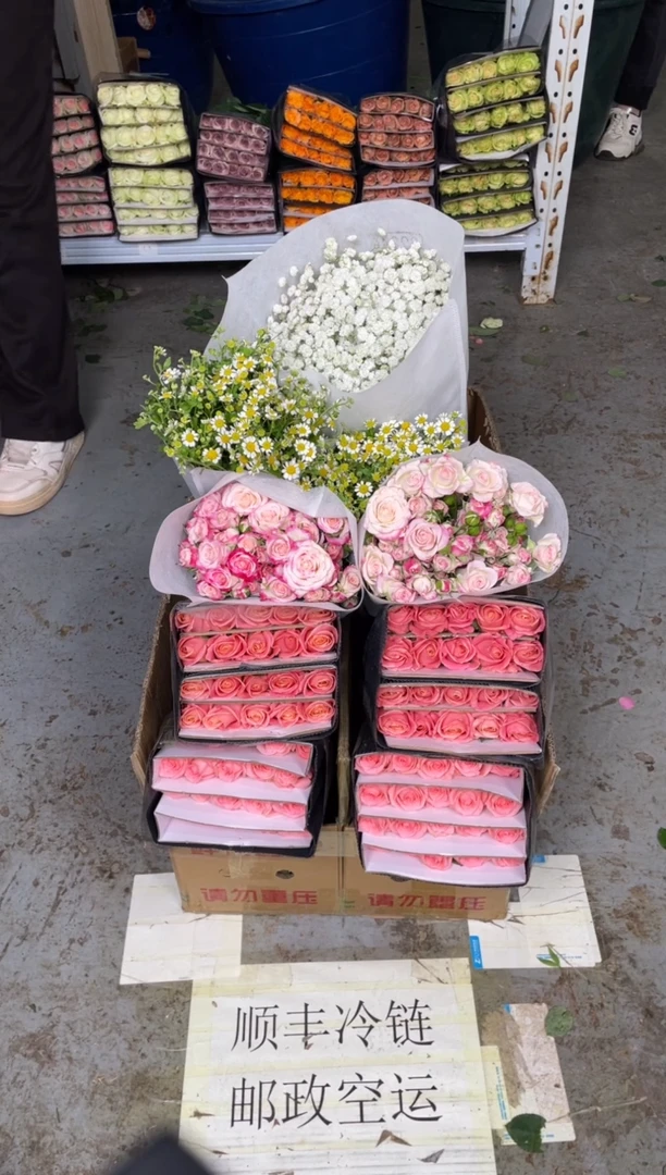 戴安娜20枝+朱小姐20枝+折射10枝+洋甘菊+满天星1000克