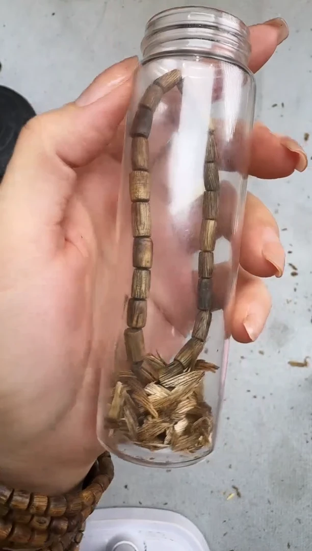 沉香沉香碎屑T05白棋随型桶静静沉香甄选多样性发一