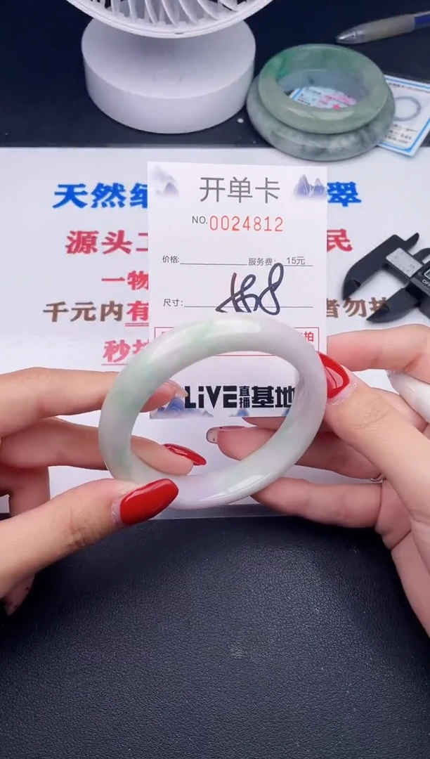 未镶嵌手镯翡翠12