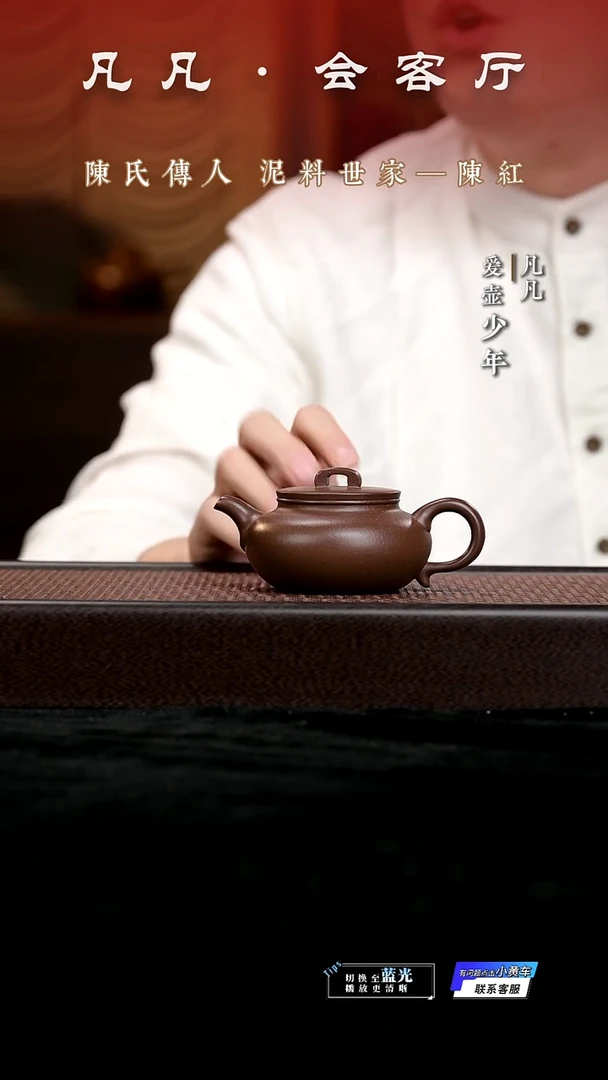 茶壶紫砂凡凡会客厅 紫砂壶14 如意瓢紫泥155cc