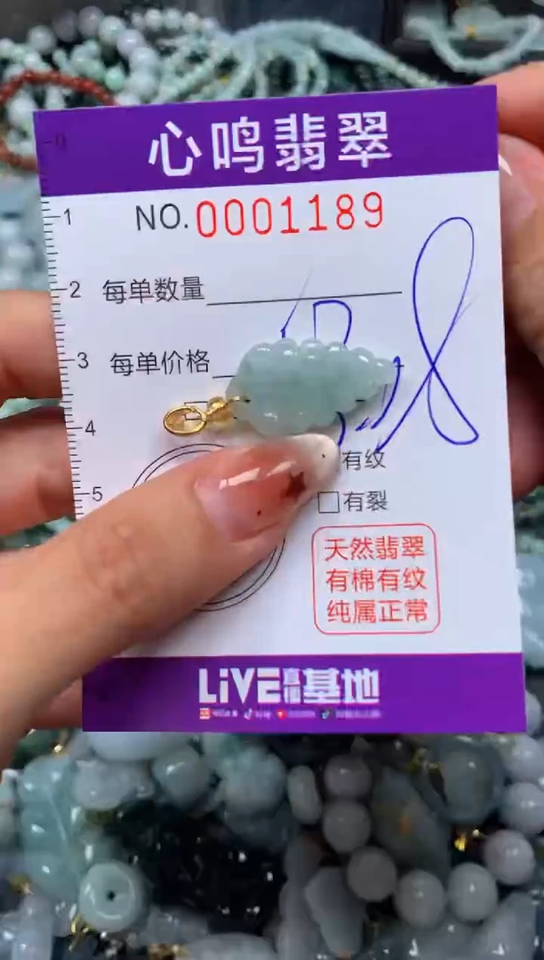 翡翠未镶嵌颈饰闪购001189