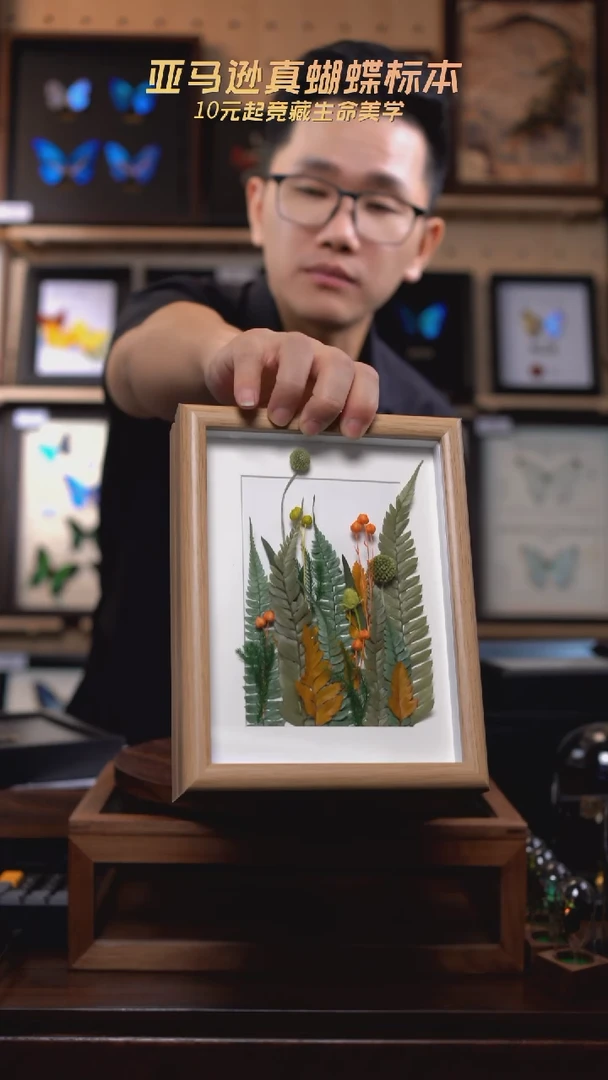 植物干花标本春款