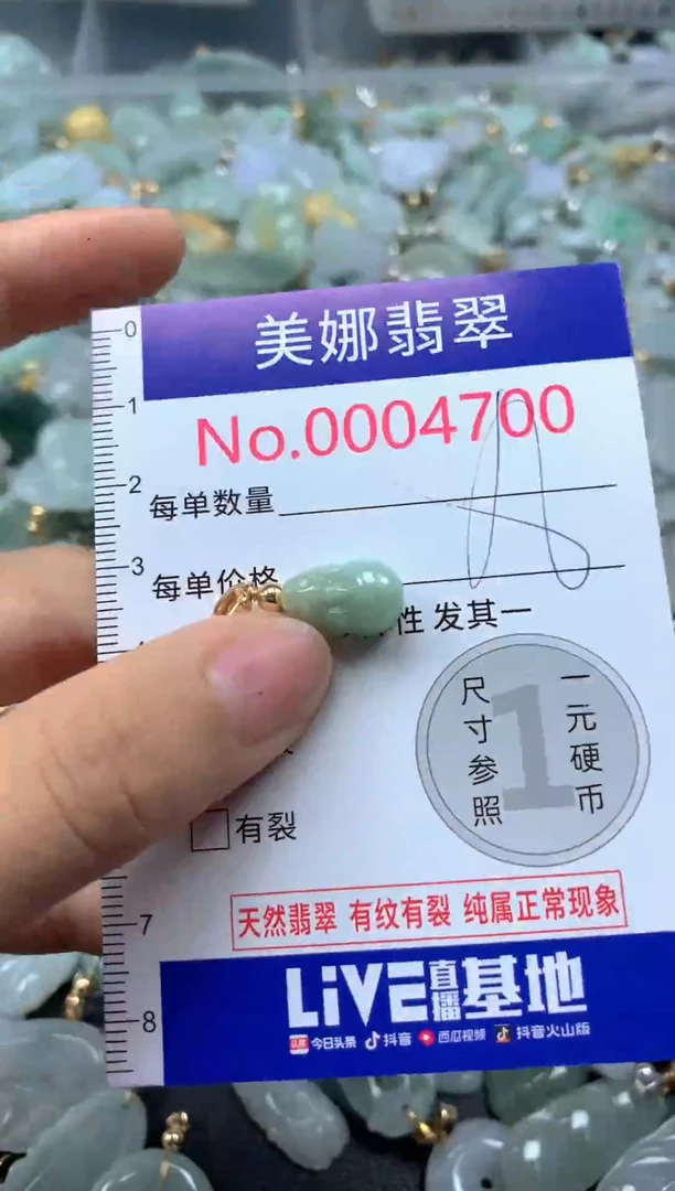 颈饰未镶嵌翡翠4700