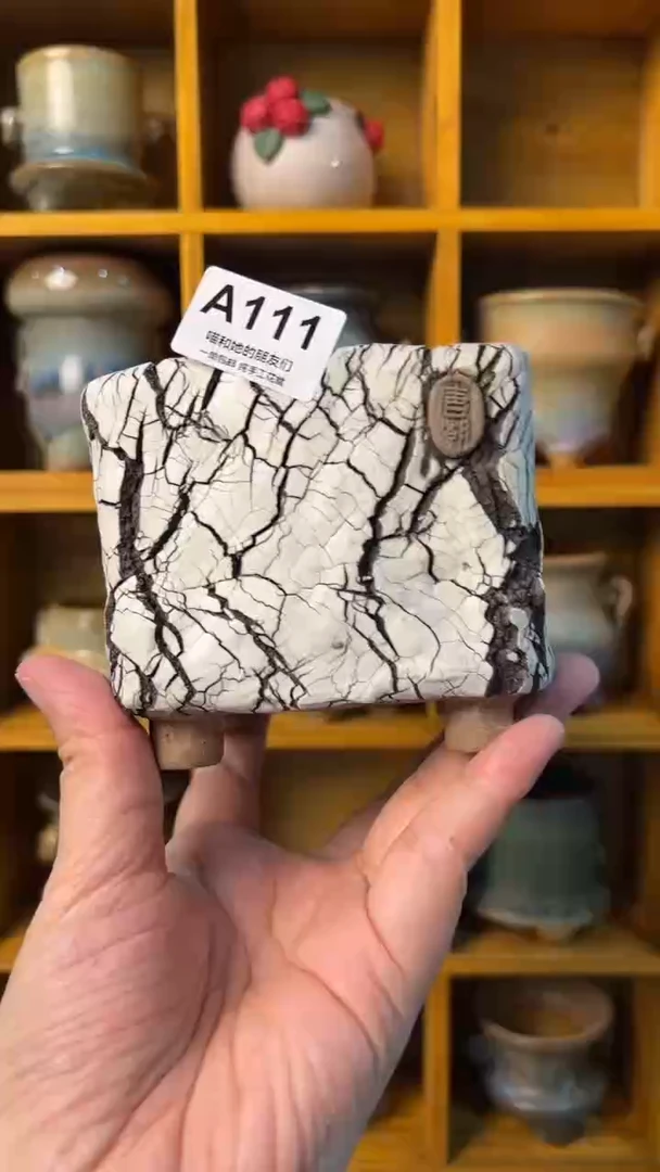 亦*影111【多肉花盆多肉盆】