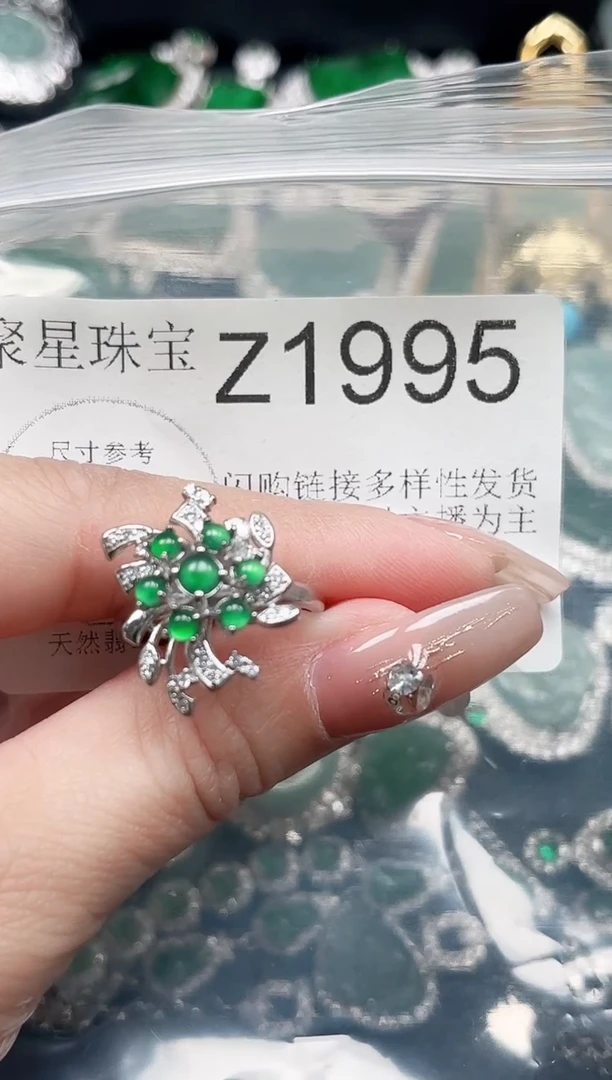 【闪购商品】翡翠颈饰未镶嵌赠皮绳1995