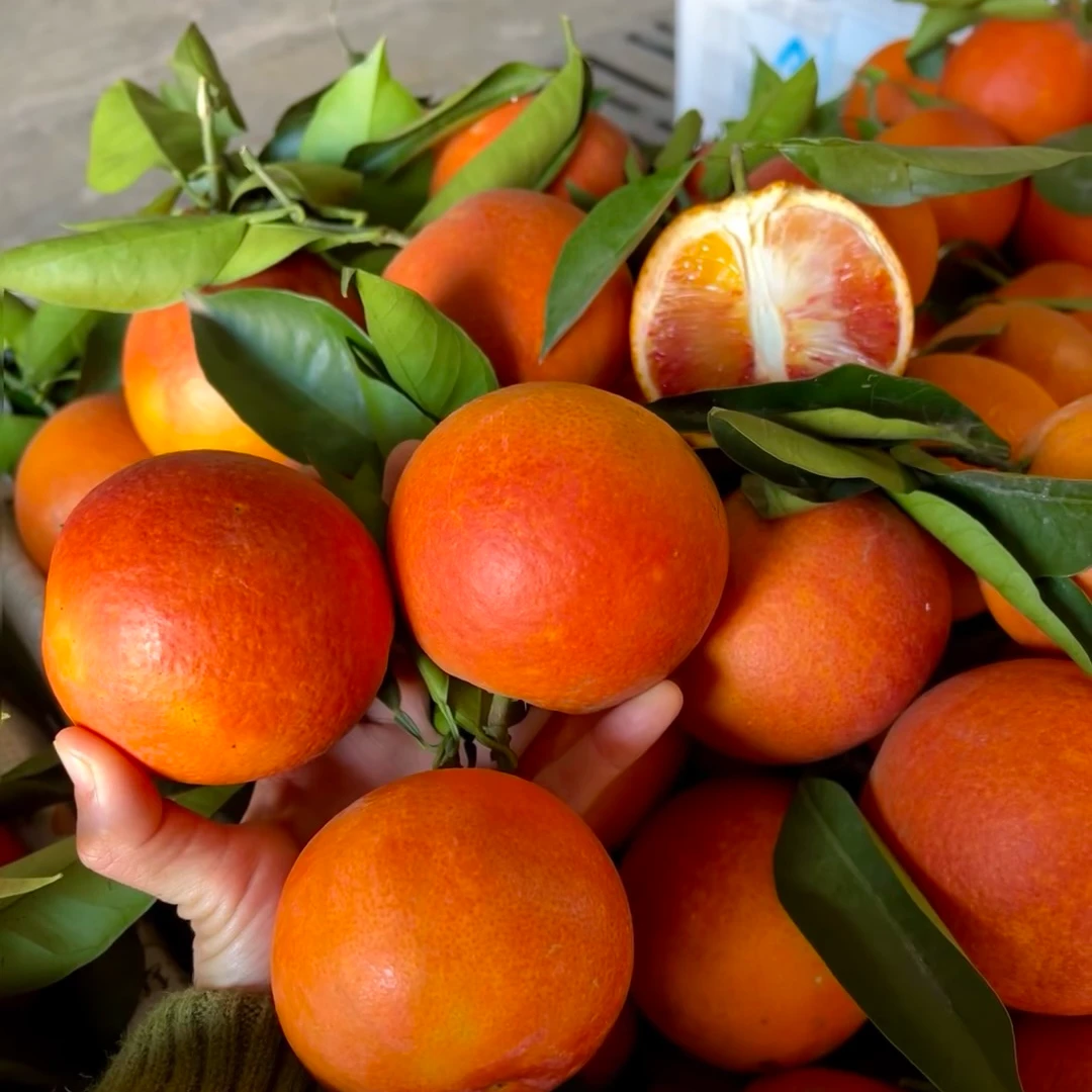 四川塔罗科血橙新鲜水果爆甜自家果园直发农家自种果冻血橙