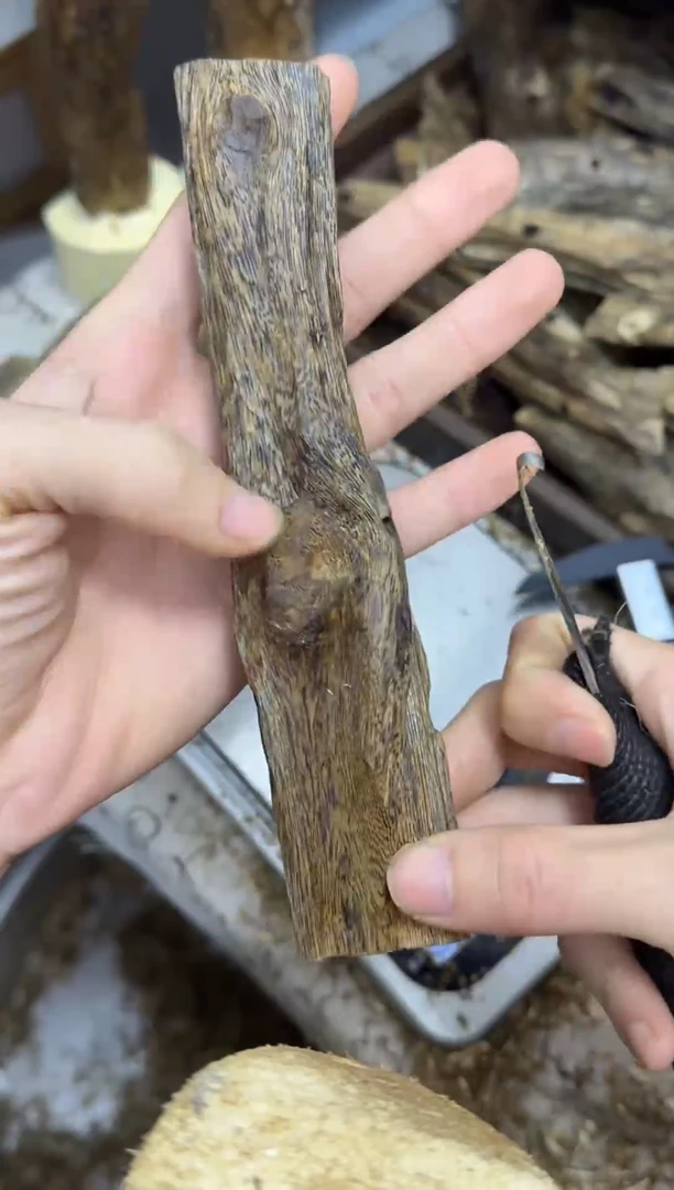 沉香沉香碎屑海南黑棋虫漏