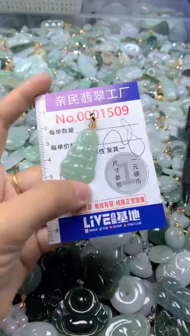 吊坠(不含链)未镶嵌翡翠1509