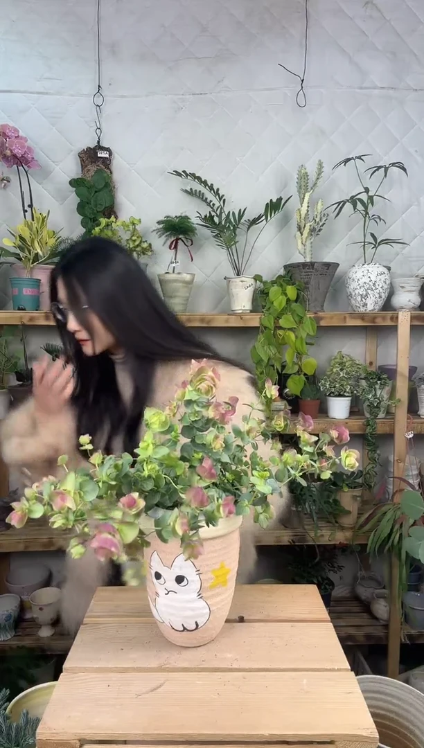 无花朵473牛至折纸画加盆一套