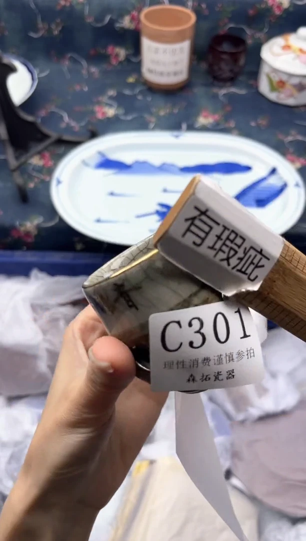 瓷片          C301