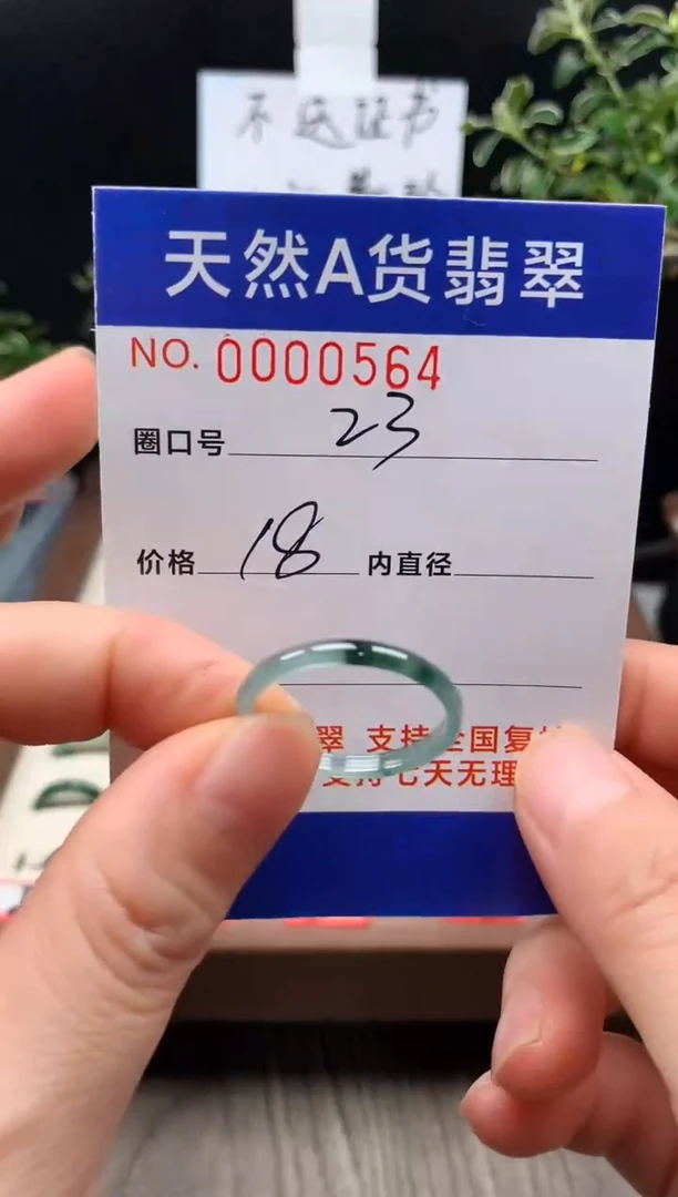 未镶嵌戒指翡翠23#