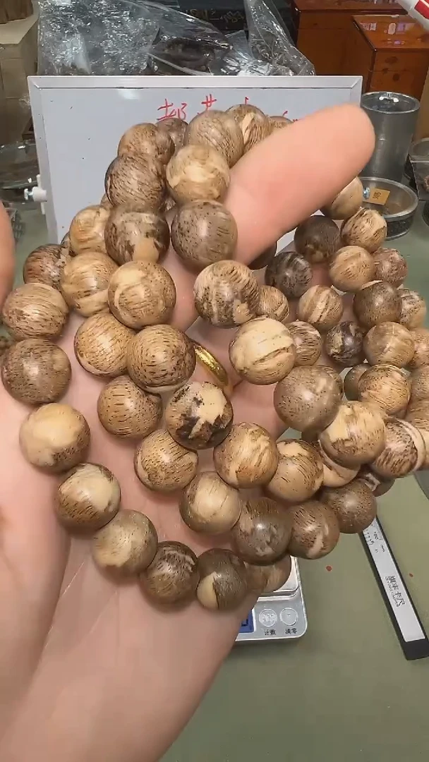 越南芽庄都蓬11mm单圈多样性发其一