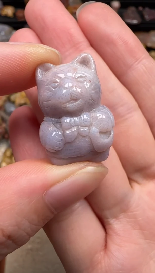 硅化珊瑚（珊瑚玉）未镶嵌颈饰031