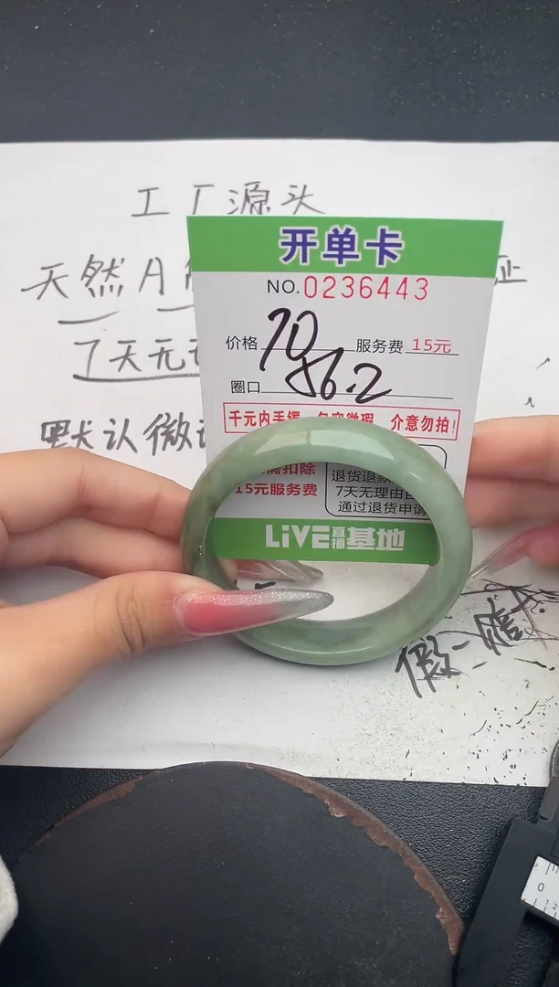 未镶嵌手镯翡翠43