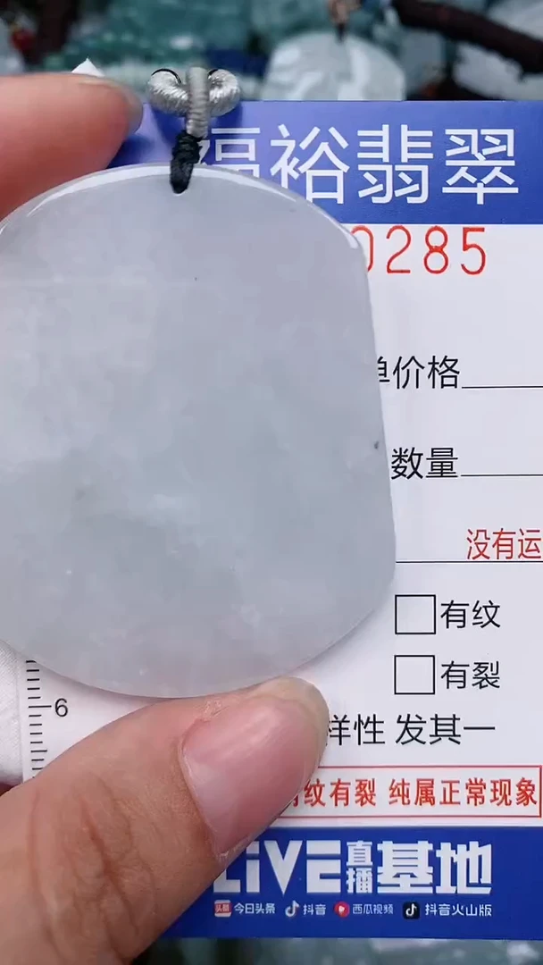 翡翠未镶嵌颈饰...0000285