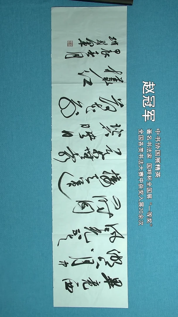 【闪购商品】书法229 上海赵冠军中书协138*34