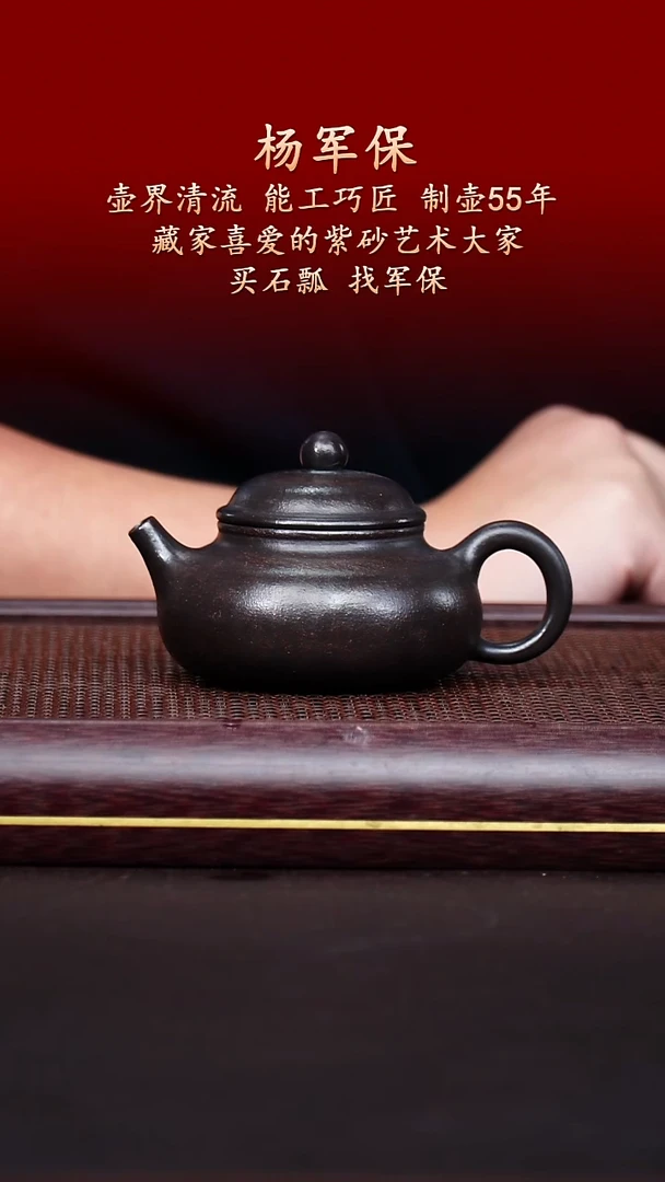 陶藏紫砂甄选-紫砂壶10