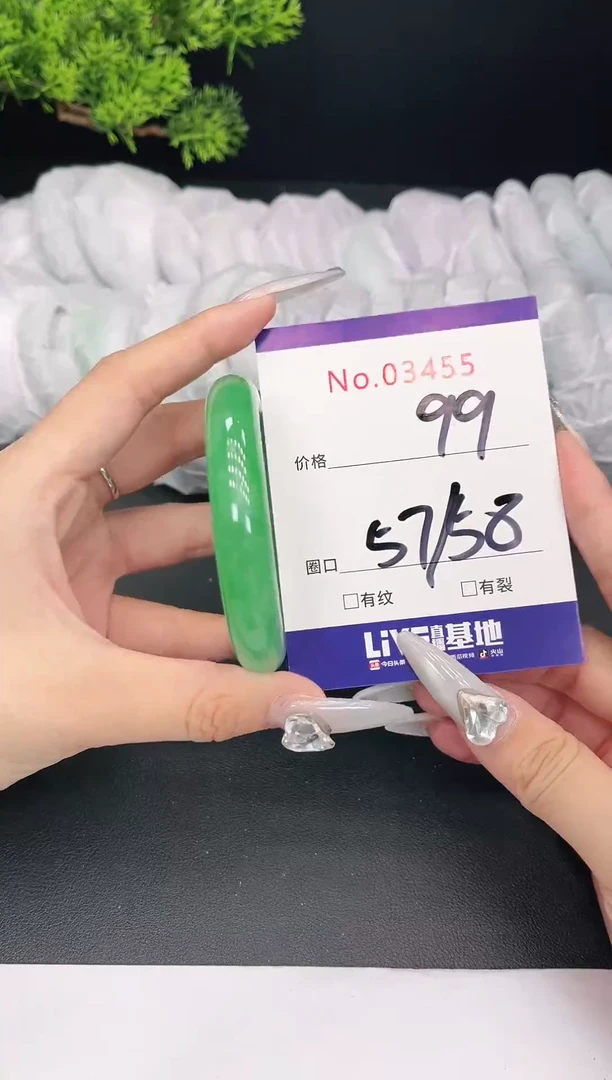 未镶嵌手镯翡翠03455