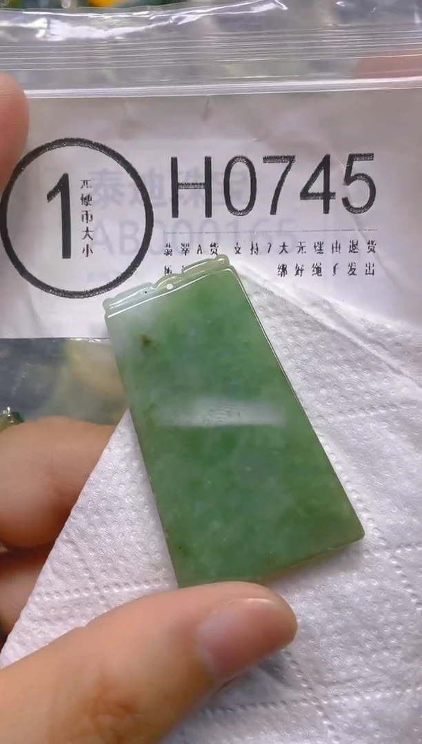 翡翠未镶嵌颈饰/H/翡翠A货一图一物