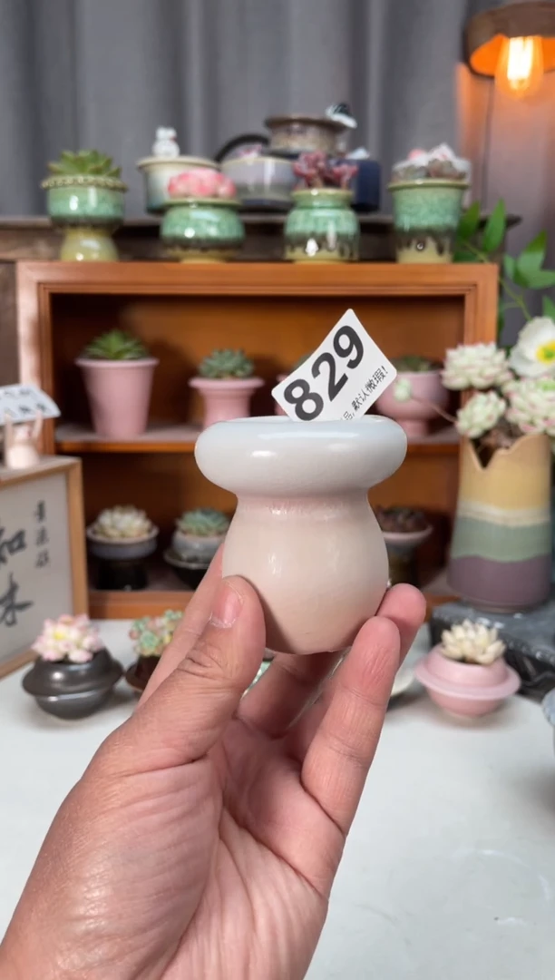 瓷片829小芳直播编号