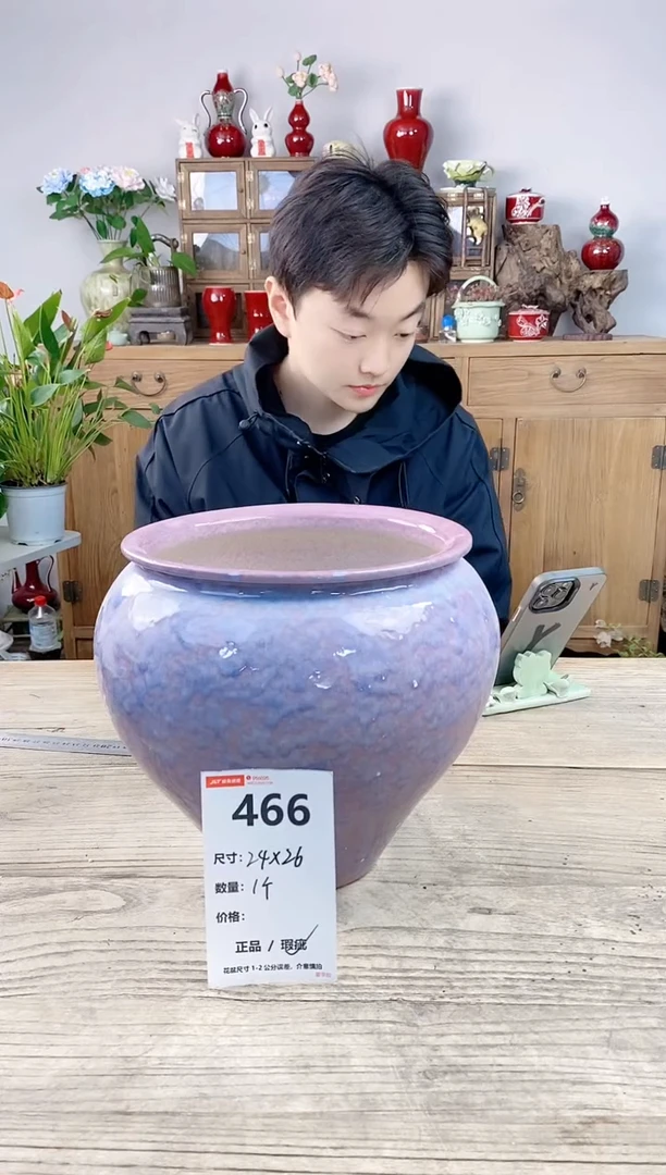 晴好园艺直播编号466