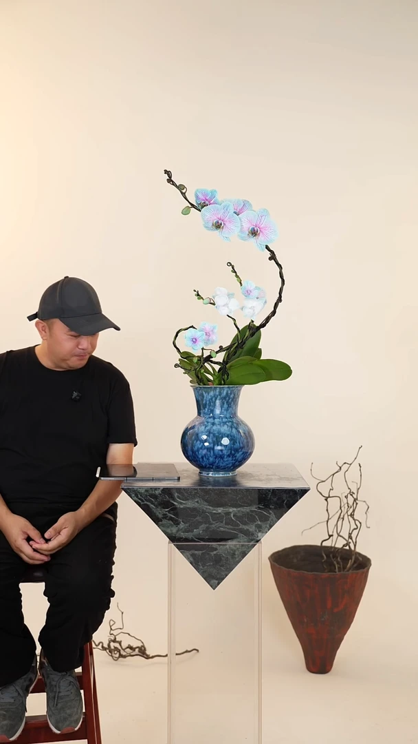 全部花朵061号【一物一拍】蝴蝶兰