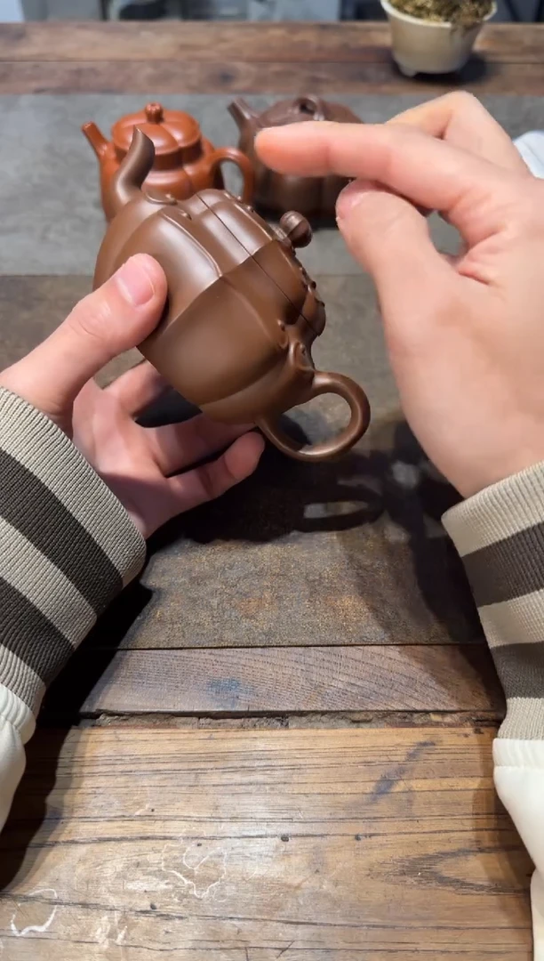 茶壶紫砂达**人向阳而生