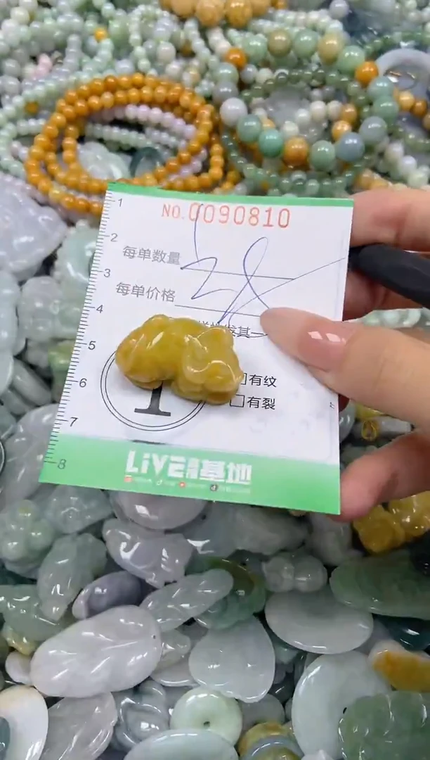 颈饰未镶嵌翡翠闪购0090810