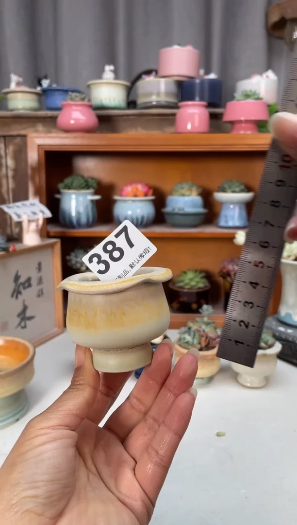 瓷片387小芳直播编号