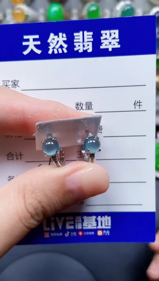 银S925镶嵌翡翠耳饰46