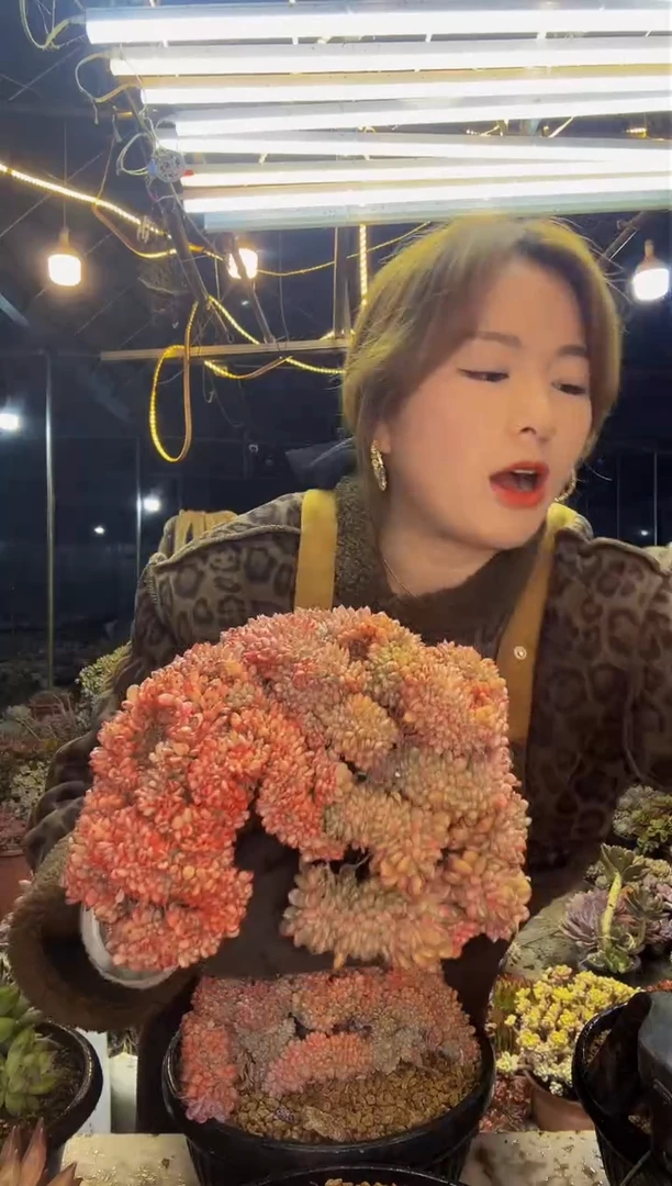 【闪购商品】玛瑙缀化3号一物一拍（包邮）