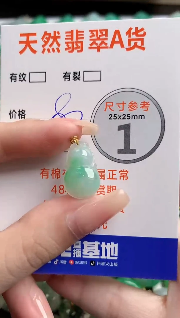 翡翠18K金镶嵌颈饰13007167