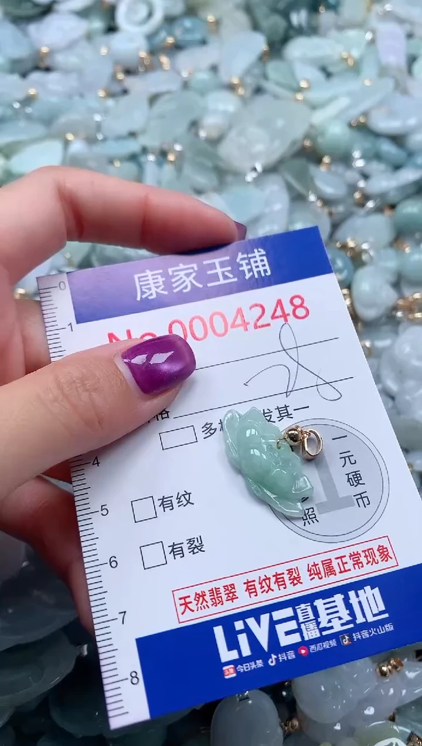 颈饰未镶嵌翡翠4248