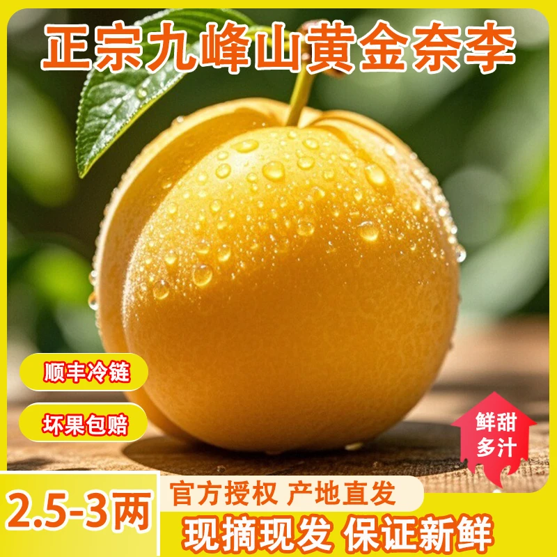 【2.5-3两】正宗韶关乐昌九峰黄金奈李20个装精选孕妇小孩新鲜水果