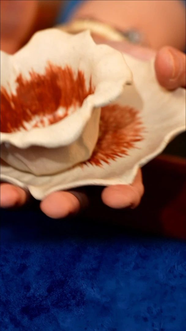 紫砂 宜兴紫砂 TZP  白花口杯