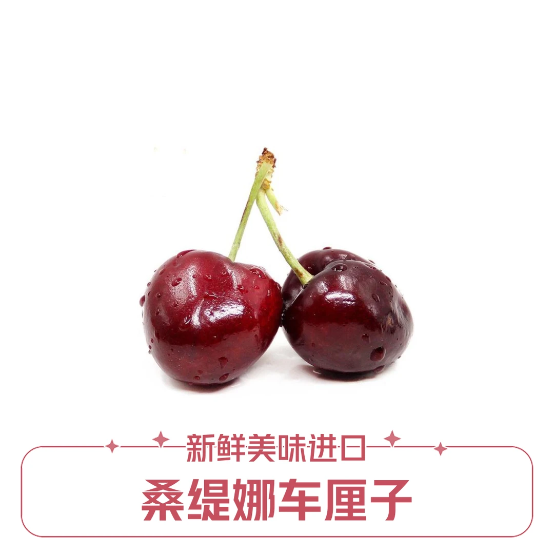 桑缇娜 智利J级-4J级车厘子2.5kg 内附果径卡【好东西】