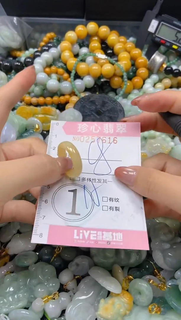 翡翠未镶嵌颈饰闪购0257616