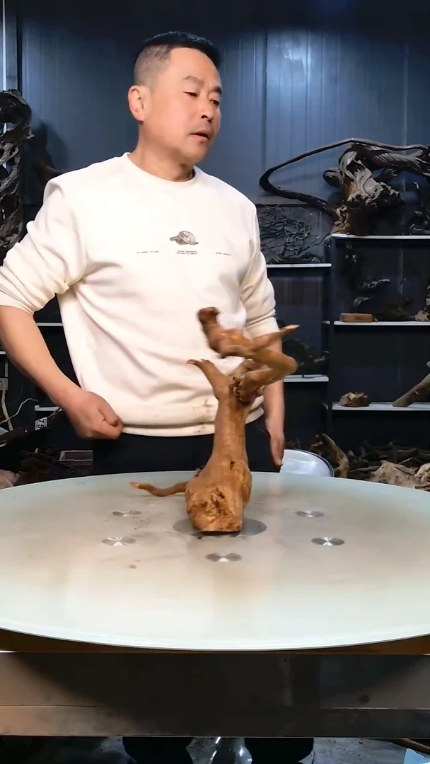 577香阁清香阁清香阁