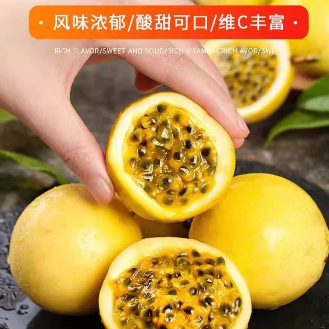 【超级优惠装精品大果】广西钦蜜9号百香果产地直发当季新鲜黄金果