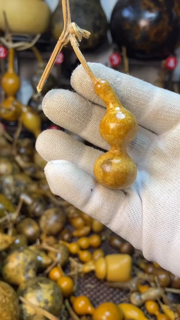 【闪购商品】葫芦葫芦葫芦葫芦