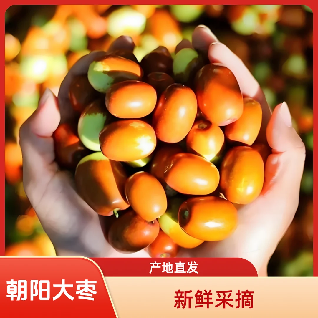 朝阳大枣·当季新鲜甜脆应季地标农产品水果鲜枣净重2斤5斤9斤皮薄
