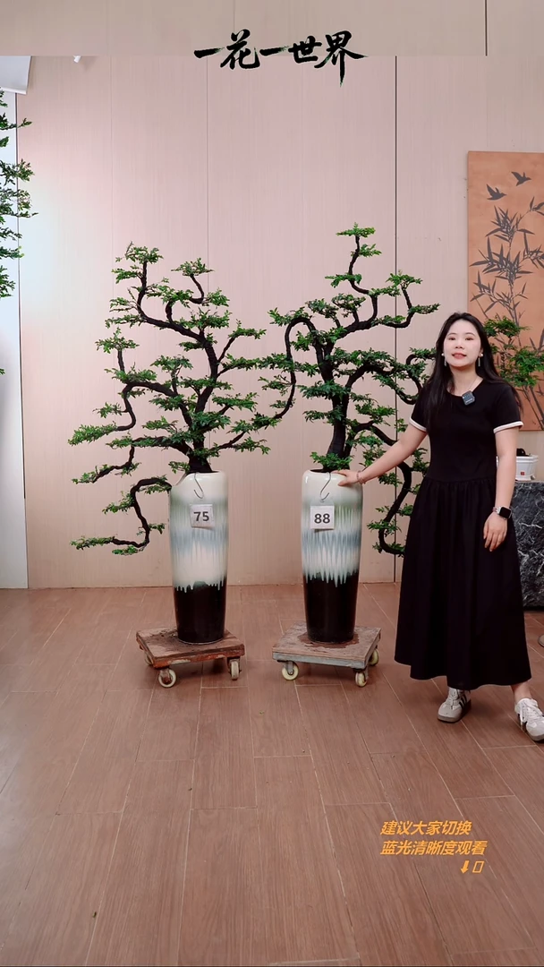 无花朵你***我两颗链接包邮