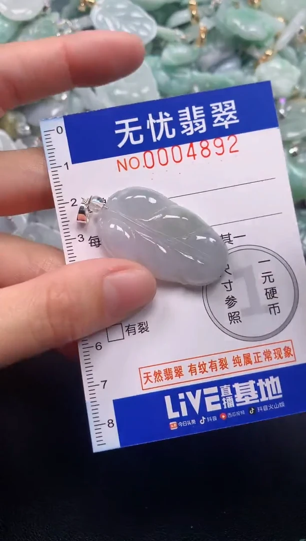 颈饰未镶嵌翡翠4892