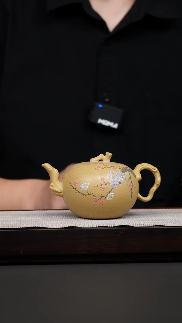 茶壶紫砂本绿泥绘一粒珠