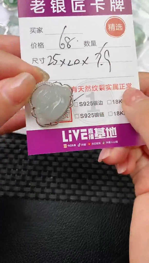 翡翠银S925镶嵌颈饰·