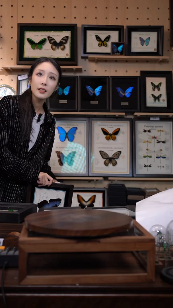 用****.暗溪色蟌小号玻璃罩