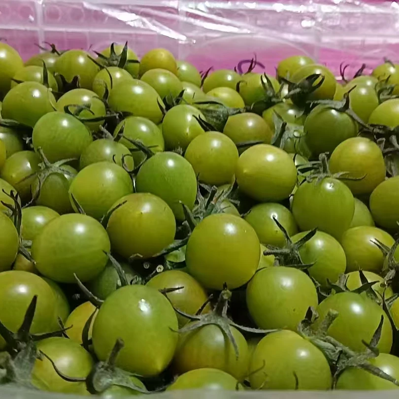（同城配送到家）青甜千禧一盒500克绿色樱桃小番茄海南省