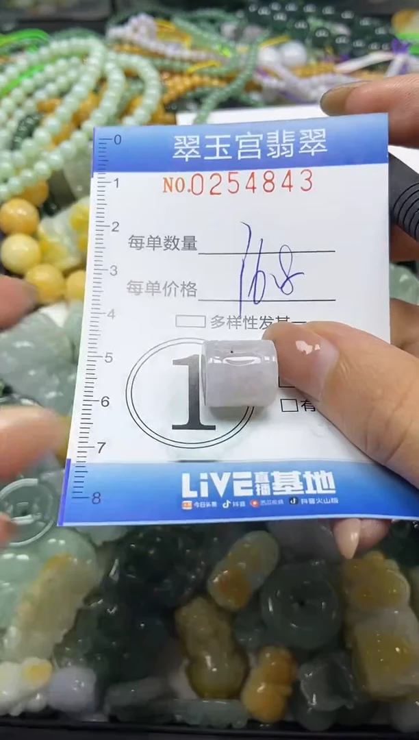 颈饰未镶嵌翡翠闪购C0254843