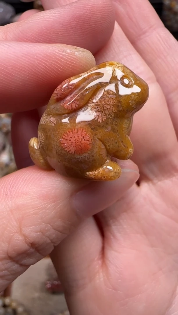 硅化珊瑚（珊瑚玉）未镶嵌颈饰305